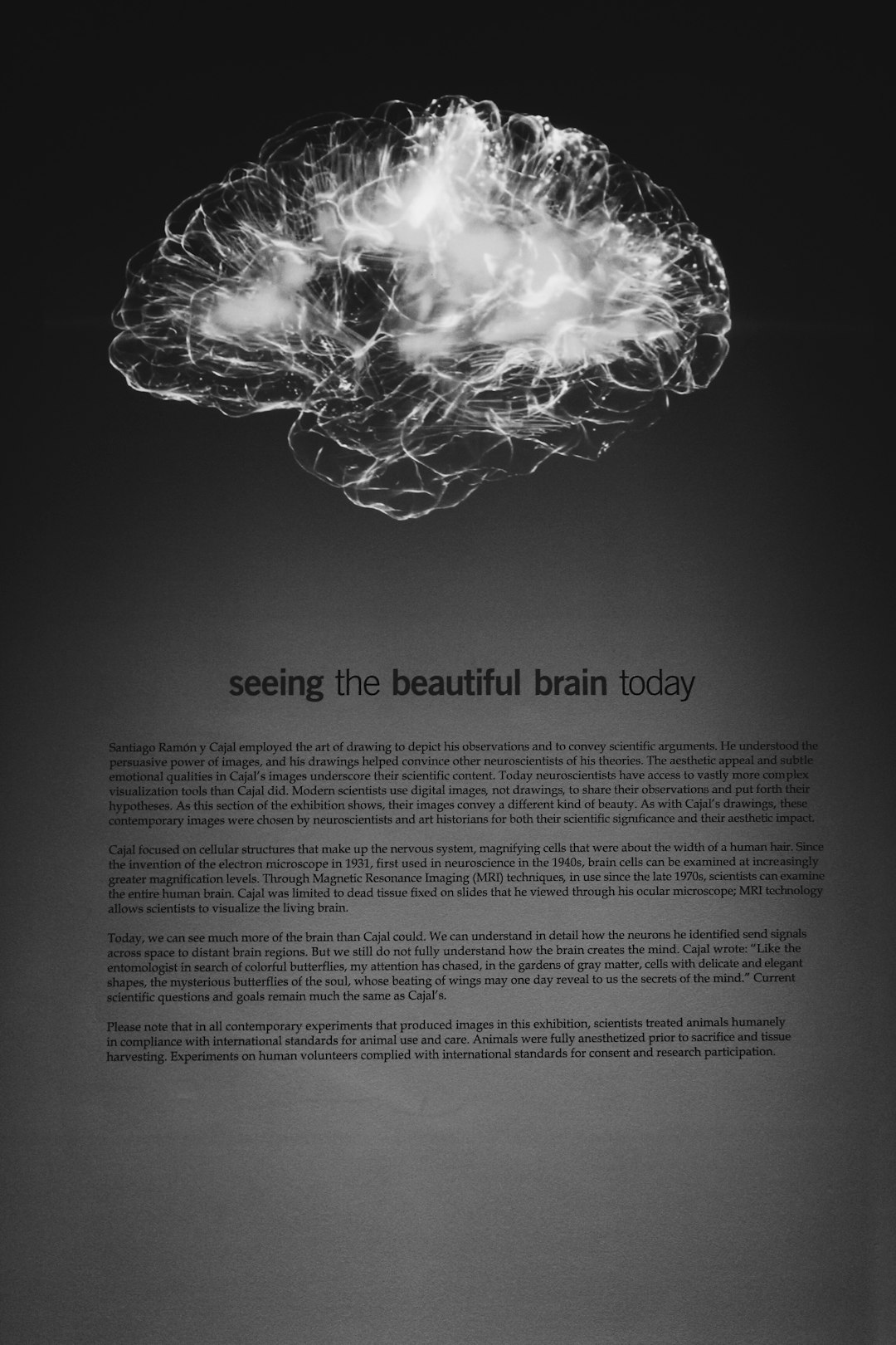 Title: The Science and Art of the Perfect Nap: How to Power Up Your Day with Sleep