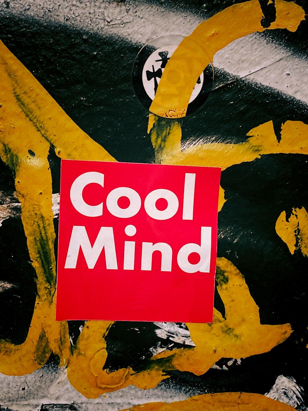 What cool things can I do with AI as a software engineer?