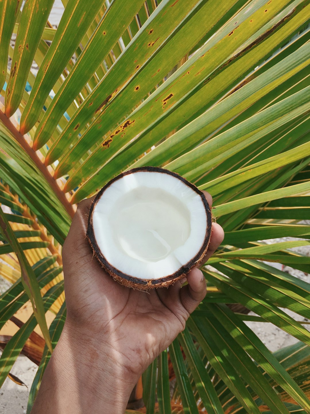 Is coconut water good for health?