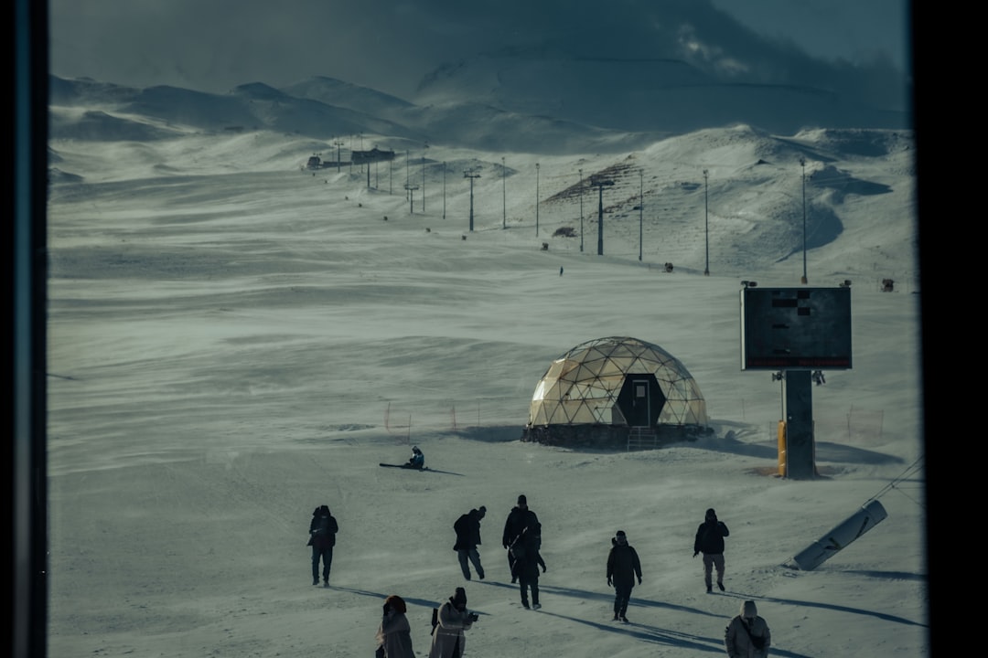 Reviving the Apocalypse: How “Later” Films Shape Pop Culture, Science, and Our Collective Fears