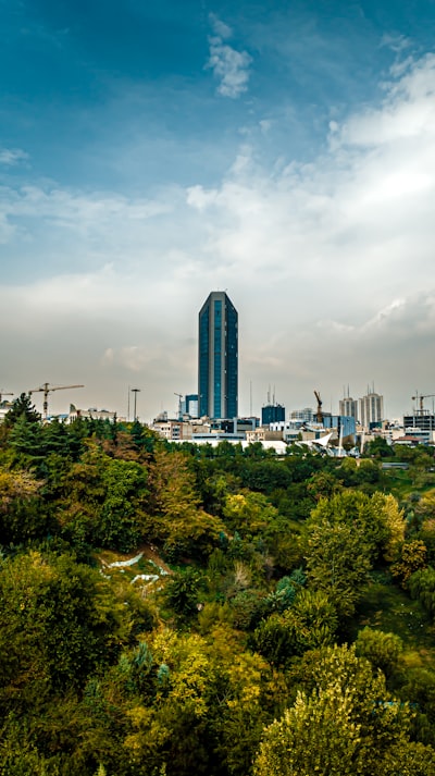김치본드