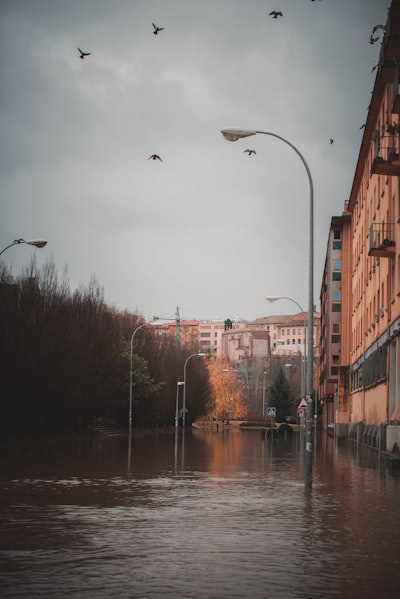Flash Floods