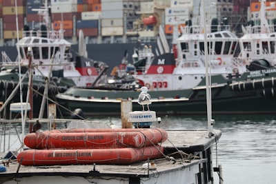 French Police Slash Migrant Boat: A Rare Intervention Raises More Questions than Answers