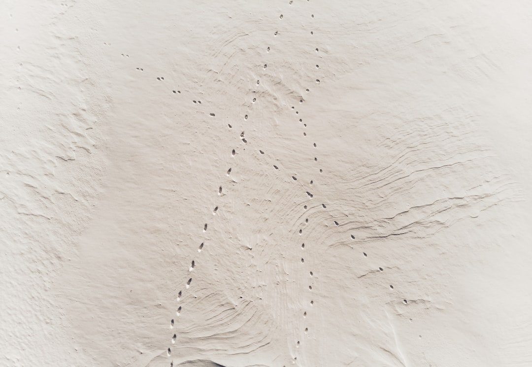Borders: Lines on a Map, Walls in the Mind