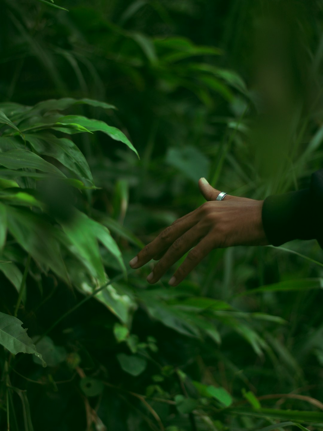 Thailand's Flip-Flop on Weed: Who Really Wins When Cannabis Gets Banned Again?