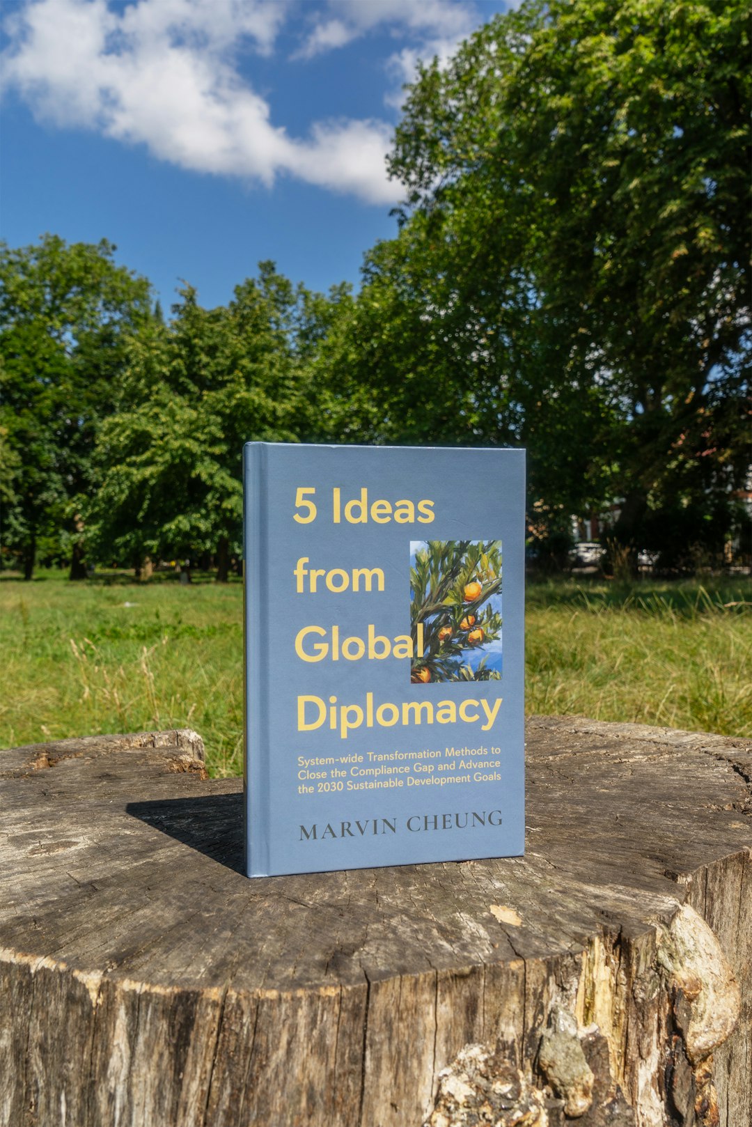 The Global Impact and Experience of International Students