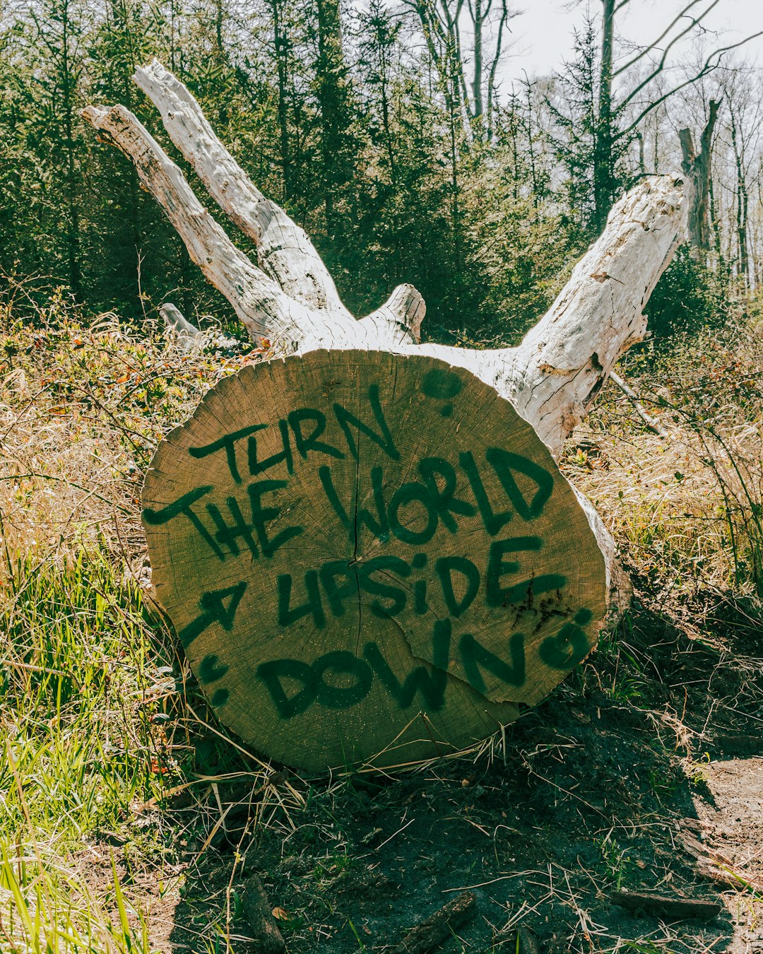 Describe the ideal world