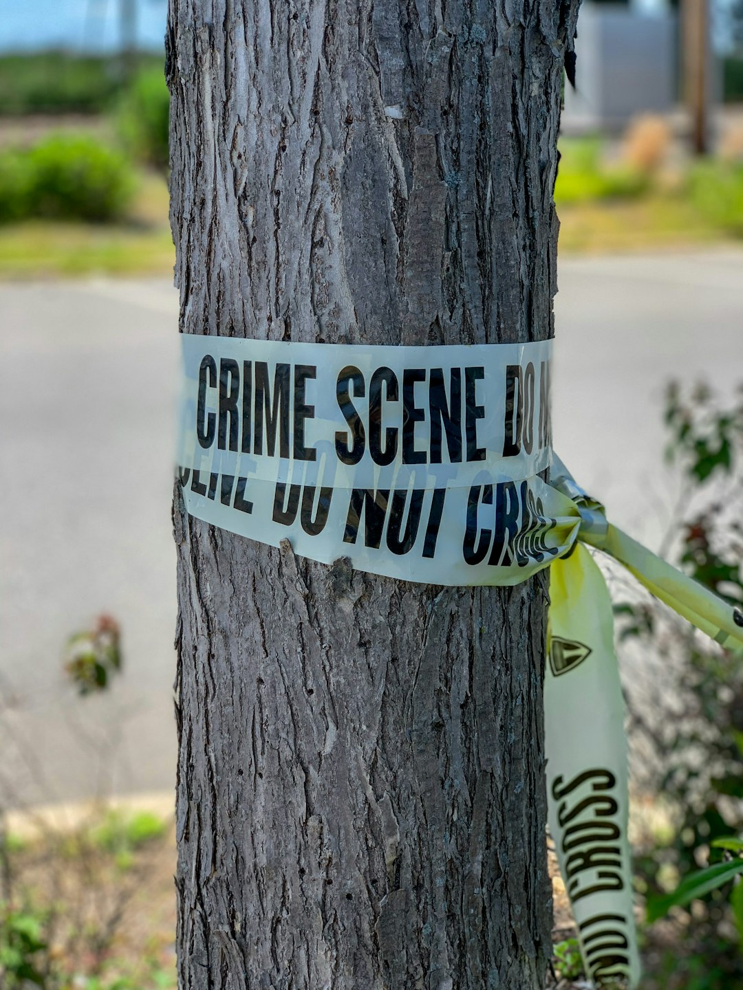 Understanding Crime: Types, Causes, and Societal Impact