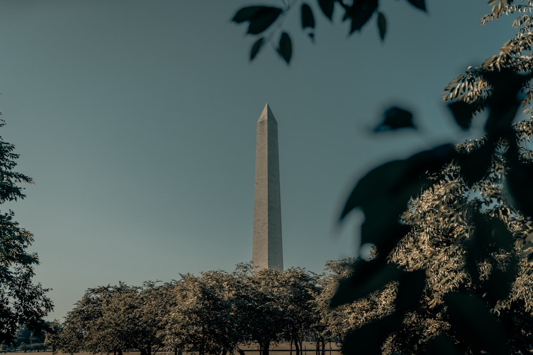 Banks in the USA: Structure, Types, and the Current Landscape