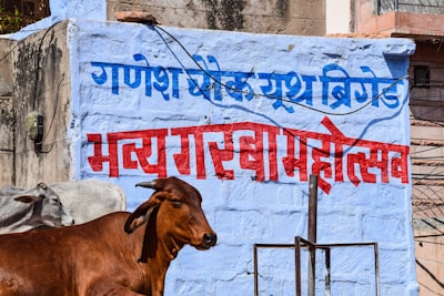 Hindi vs Marathi in Maharashtra: The New Language Debate Heating Up Indian Politics