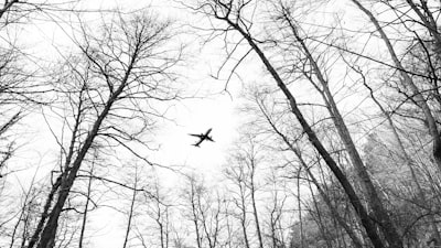 Echoes in the Siren: What Air-Raid Guidance Reveals About Our Age
