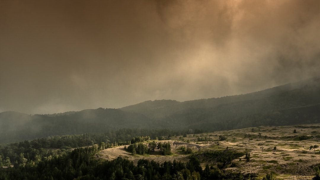 Understanding Wildfires: Causes, Consequences, and Mitigation