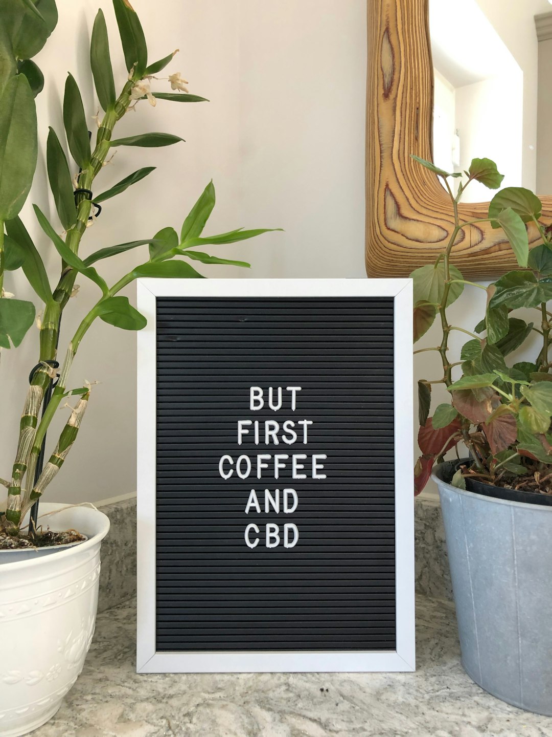 Cannabis and the Quest for Health: Separating Myth from Medicine
