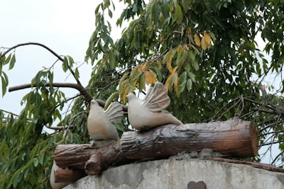ทักษิณ ชินวัตร
