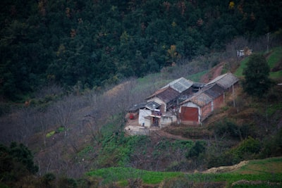 북한으로의 인도적 지원 및 전단 살포 활동