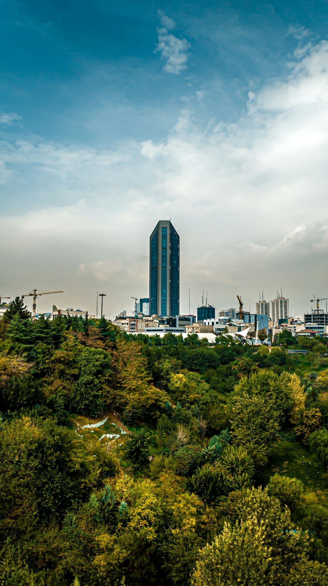 From Seoul to the Sahara: The Many Threads Linking South Korea and the Middle East
