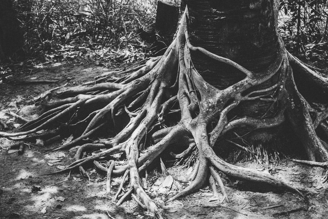 Jealousy: Understanding the Roots, Manifestations, and Management of an Age-Old Emotion