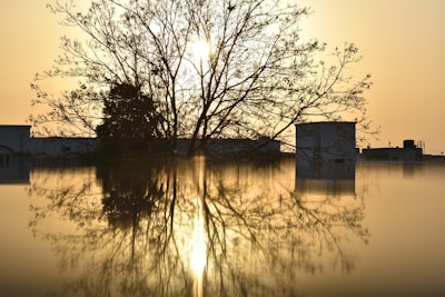 Texas Flood Tragedy: Mourning Loss, Searching for Meaning