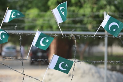Resurgence of Terror Camps in PoK: Examining the India-Pakistan Security Dilemma in South Asia
