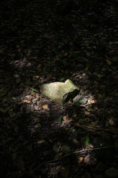 The Secrets We Bury: The Hidden World Beneath Every Nation