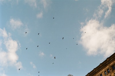 When Swarms Defend: What Happens When the Battlefield Goes Micro?