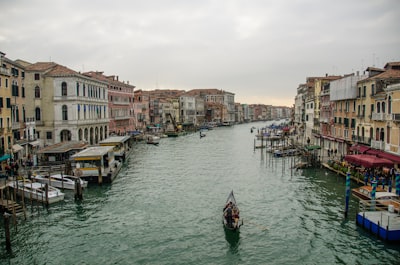 Venice vs. Vanity: When Local Voices Outshine Billionaire Spectacle