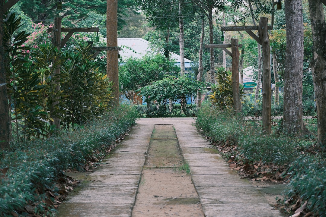 Paths to Permanent Residence: A Comprehensive Guide
