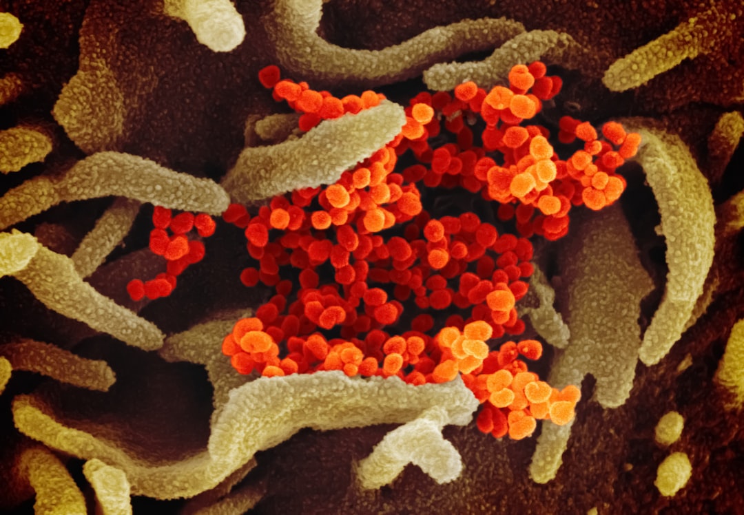Understanding AIDS: Myths, Realities, and the Road Ahead