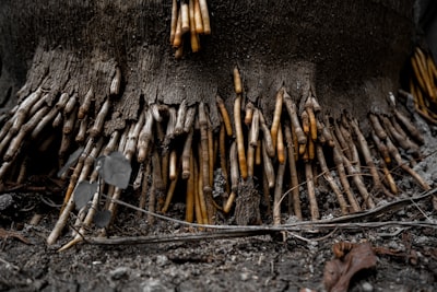 Coltan Mining in the Democratic Republic of the Congo