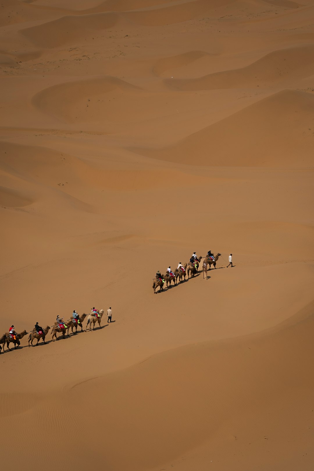 Remote Work Exodus: Will Rural Areas Overtake Cities in the New Economy?