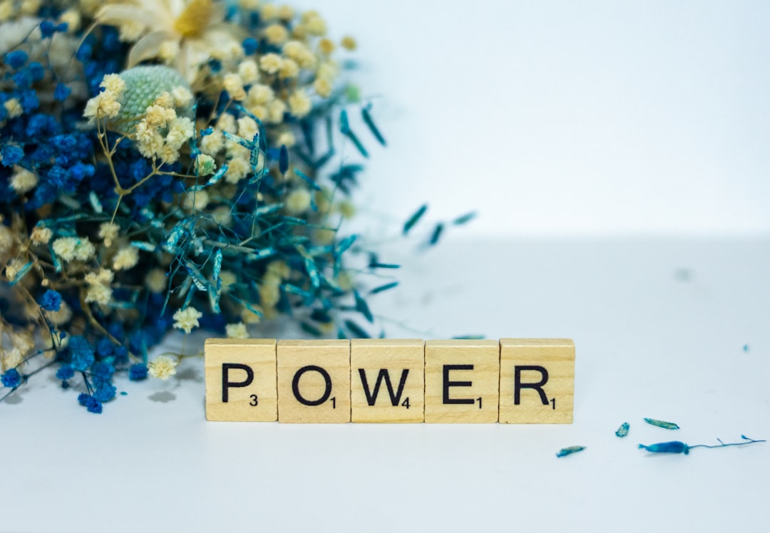 Minister: Power, Purpose, and Paradox in Modern Leadership