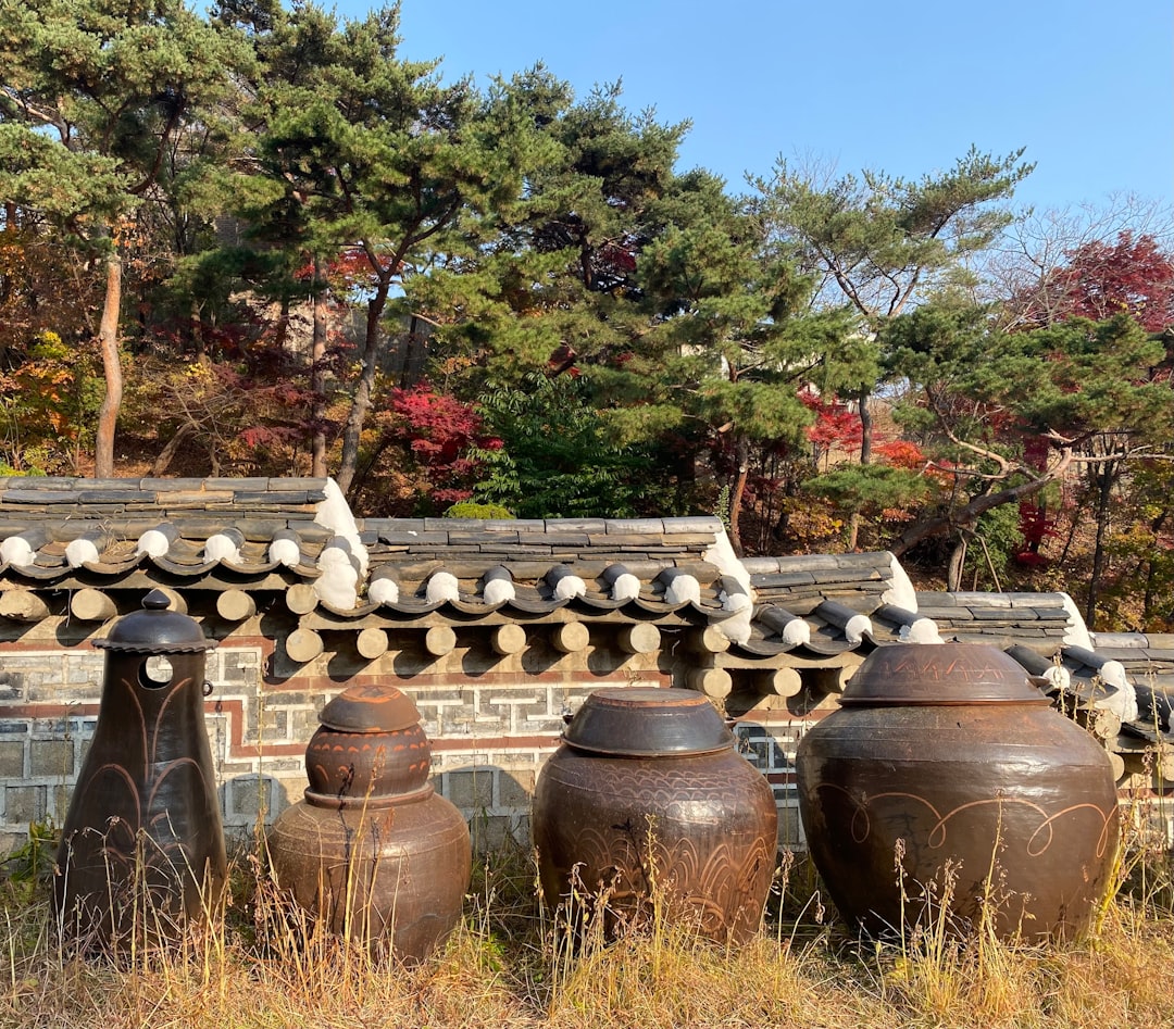 Korean Cuisine: Tradition, Diversity, and Flavor