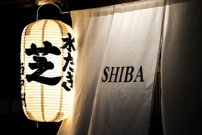 Stagnant Support for Ishiba Cabinet Signals Deepening Public Disillusionment