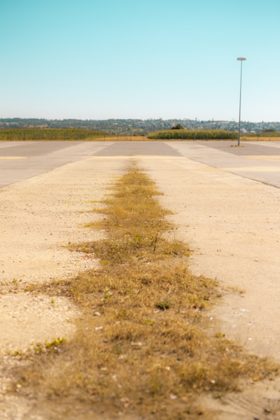 The Art (and Science) of Leaning Landings: When Planes Tilt, So Do Possibilities