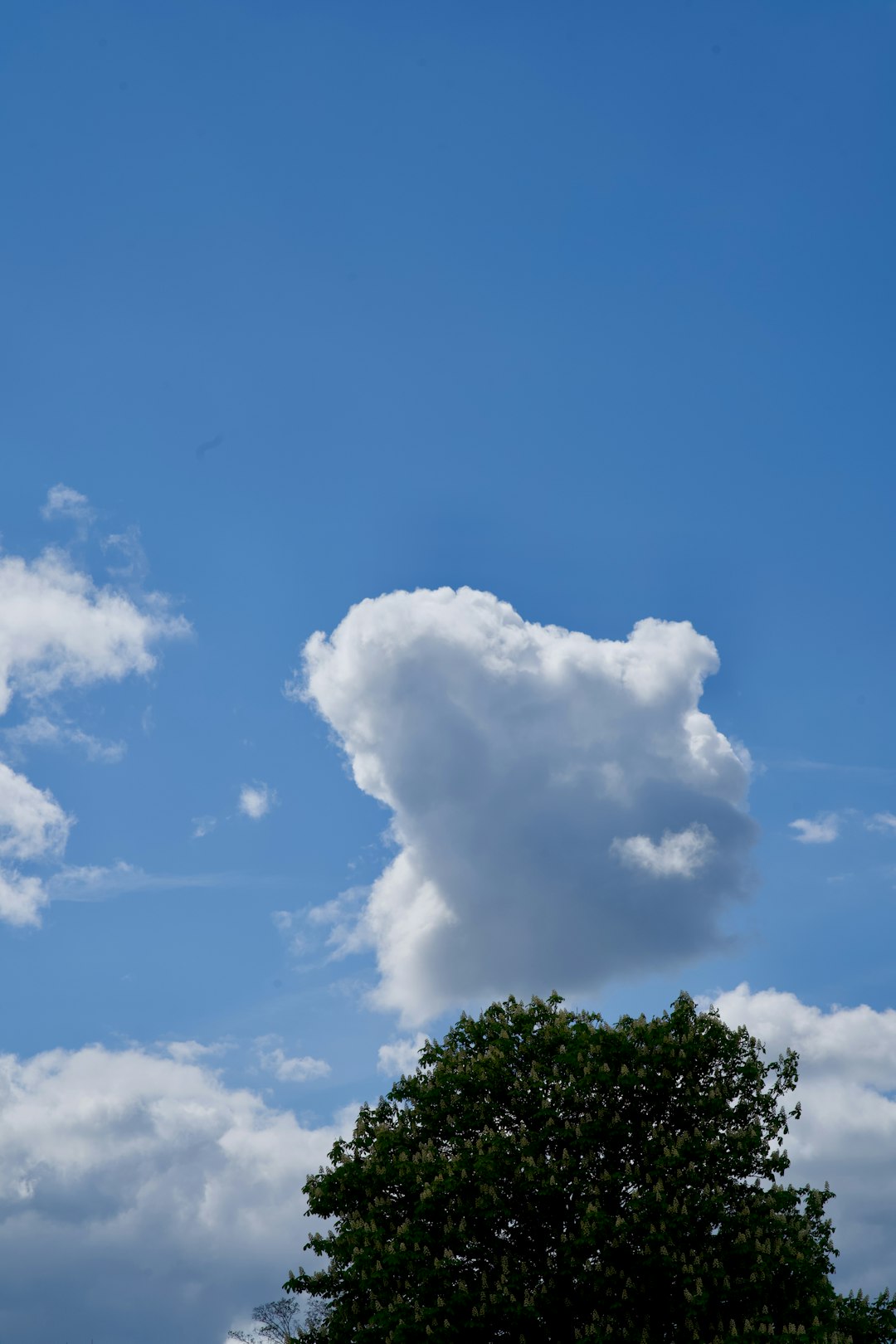 What are the responsibilities of a cloud engineer?