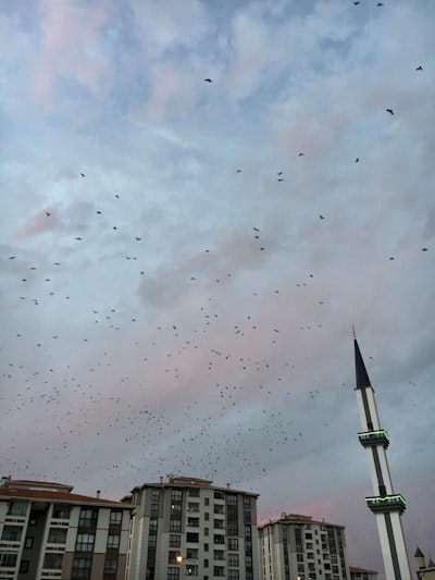 When the Sky Becomes a Battlefield: What If Birds Wage War With Machines?