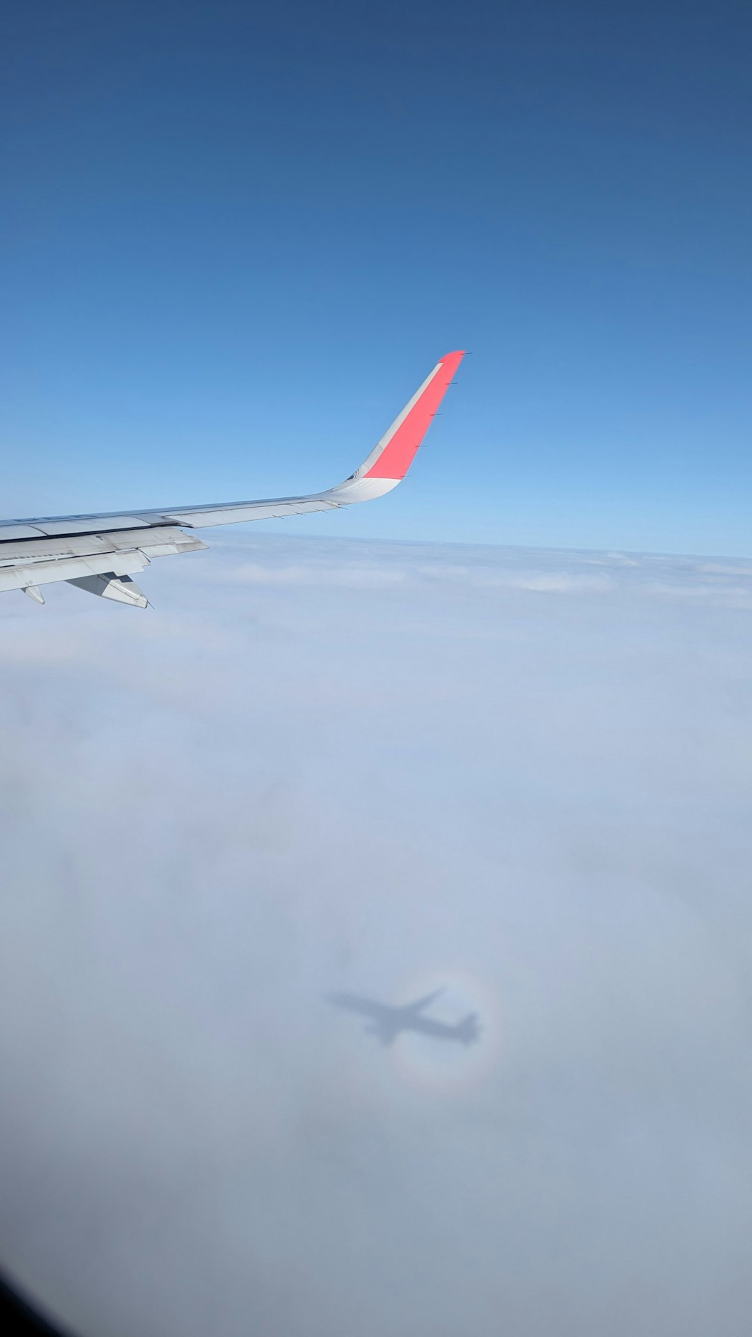 Turbulence at 35,000 Feet: Exploring Airline Leadership, Aviation Safety, and Public Trust