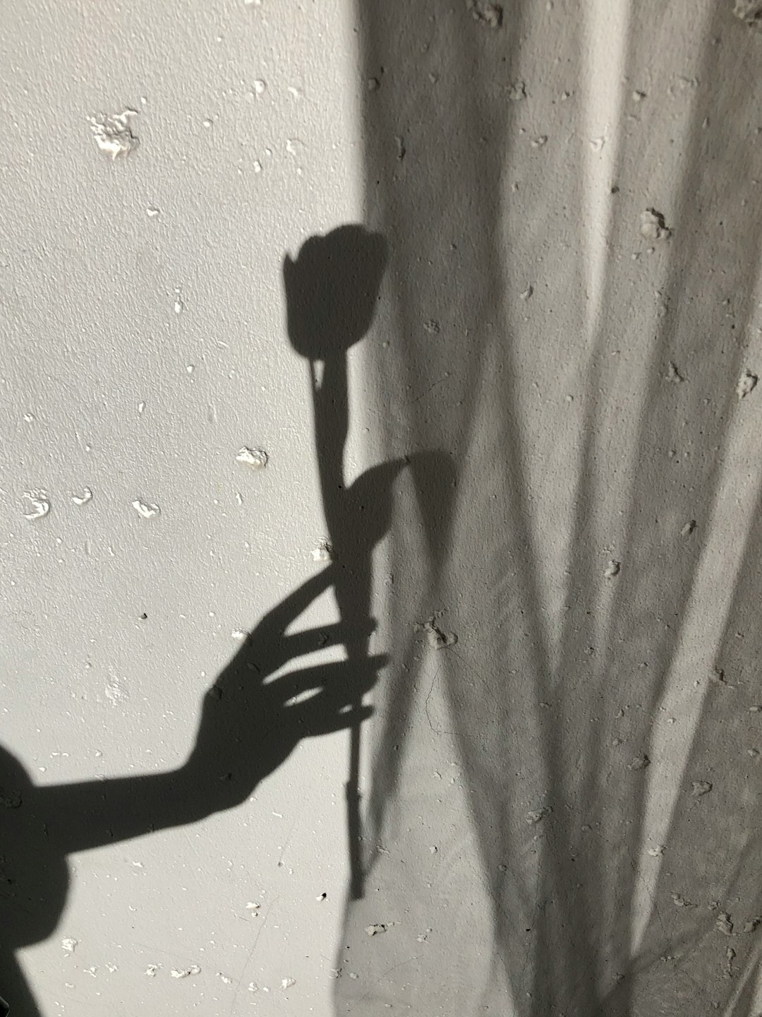 Shadows, Shields, and Silent Wars: Exploring the Guardians, Prisons, and High-Tech Frontiers of the Middle East