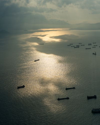 The 'One-Theatre' Security Concept in East Asian Maritime Strategy