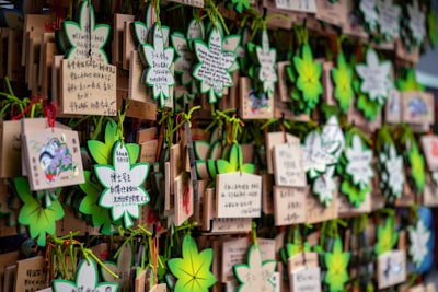 The Forgotten History of Cannabis Cafés: What Would a Global Green Rush Really Look Like?