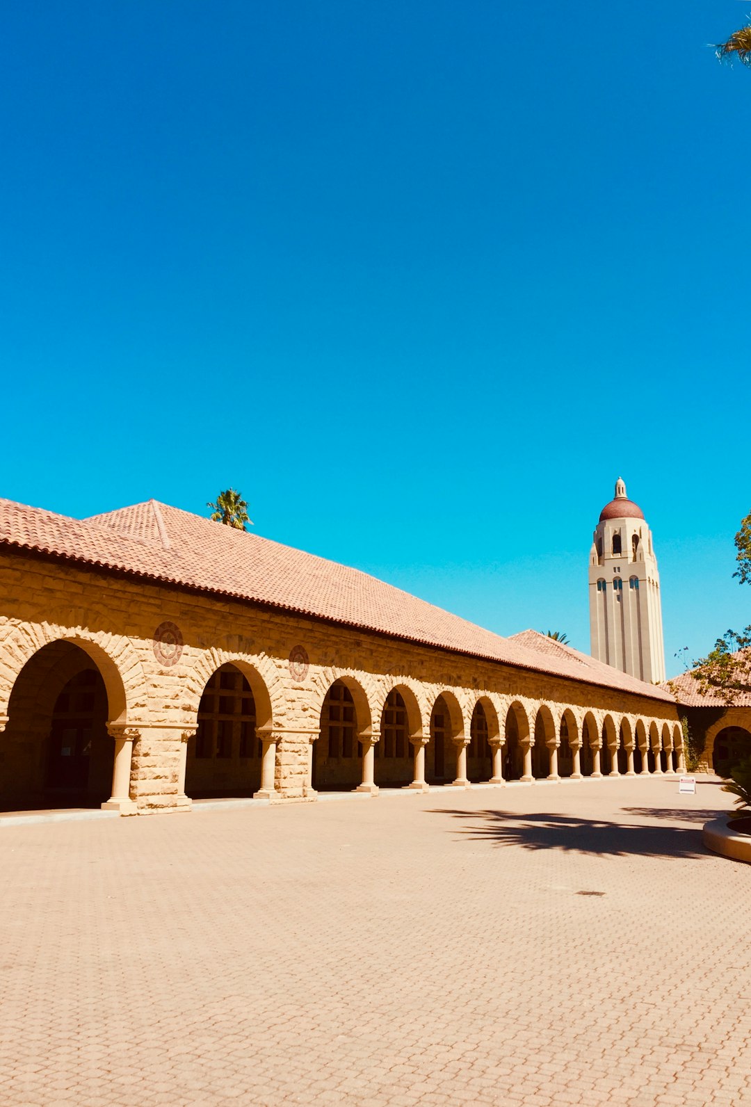 Stanford University: A Comprehensive Overview