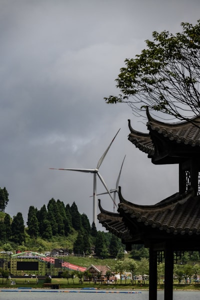 特朗普能源政策走向为何或让中国主导可再生能源未来?