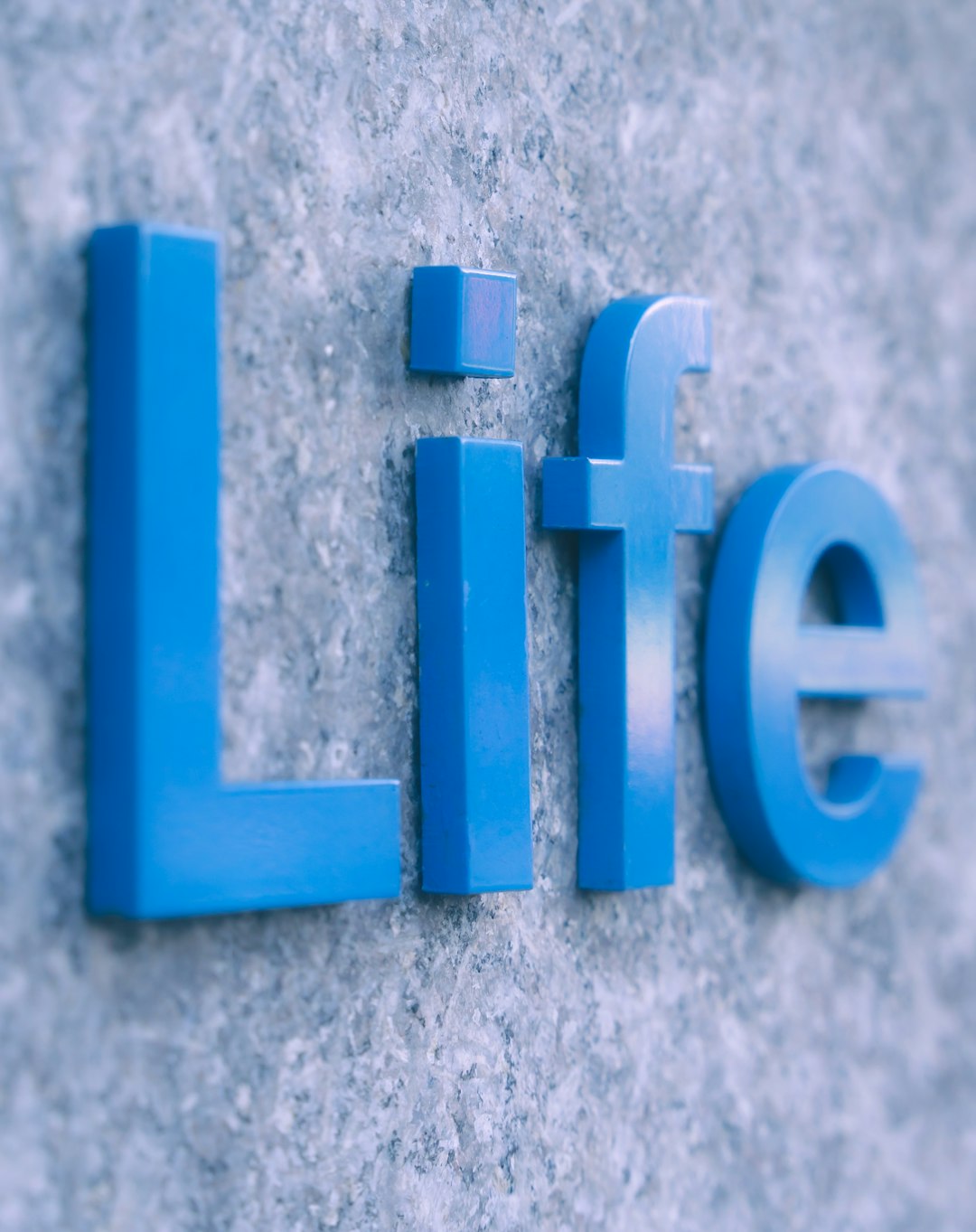 The Meaning of Life: Philosophical, Religious, and Scientific Perspectives