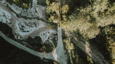Texas Flood Tragedy: A Community's Loss and the Lingering Questions