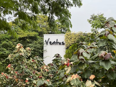 Vedanta's Rare Earth Ambitions: India's Strategic Push for Neodymium Production