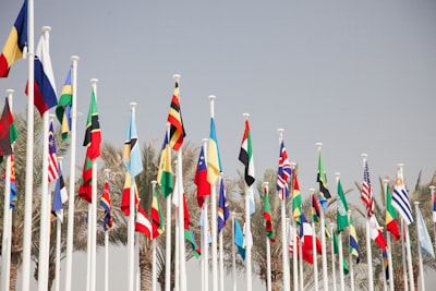 Recognition of Governments in International Law