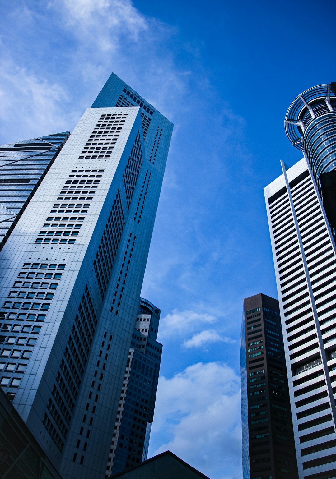 Singapore: The Lion City – A Comprehensive Overview