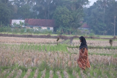 Indonesia’s US Wheat Deal: What It Means for Global Trade, Food Security, and Commodity Markets in 2025