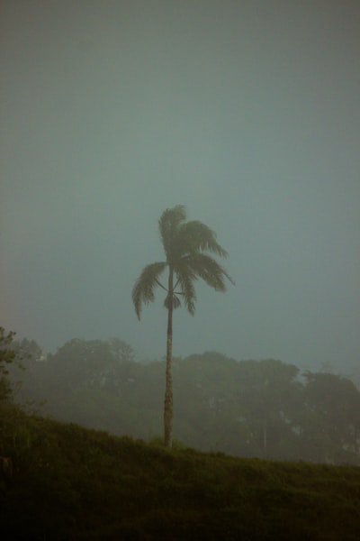 Tropical Storm Warning