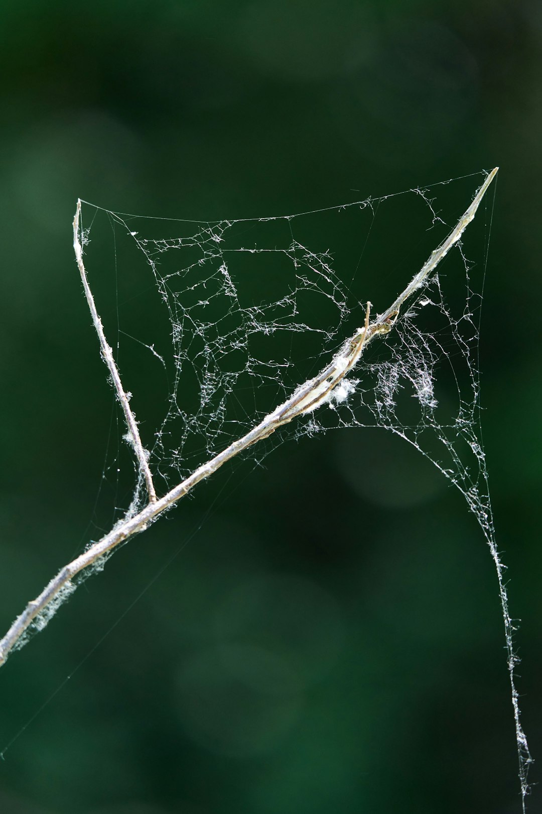 The Delicate Web: Understanding U.S.-Iran Tensions and Their Far-Reaching Impact